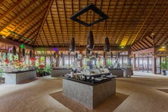 Vilamendhoo Island Resort & Spa - photo 115