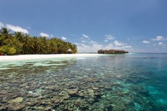 Vilamendhoo Island Resort & Spa - photo 37