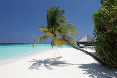 Vilamendhoo Island Resort & Spa - photo 24