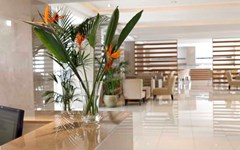 Sunrise Oasis - photo 10