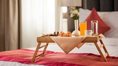 Ramada Hotel & Suites - photo 12