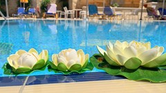 Kassavetis Hotel - photo 2