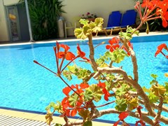 Kassavetis Hotel - photo 11