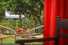 Malia Holidays Hotel - photo 5