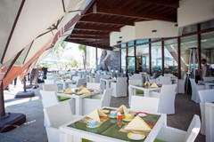 JA Palm Tree Court - photo 41