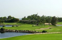 JA Palm Tree Court: Miscellaneous - photo 77