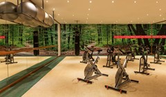 Le Meridien Mina Seyahi Beach Resort & Marina: Gym - photo 9