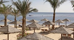 Miramar Al Aqah Beach Resort Fujairah - photo 25