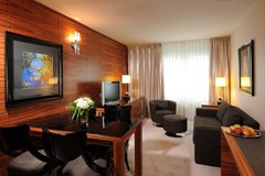 Maritim Hotel Muenchen - photo 44