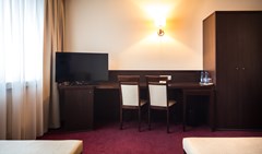 Best Western Felix - photo 23