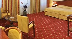 Bellevue Hotel - photo 40