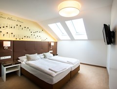 Donauwalzer - photo 22