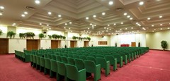 Grand Hotel Barone Di Sassj - photo 9