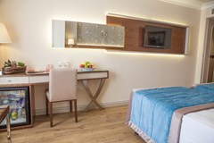 Grand Yavuz Istanbul - photo 31