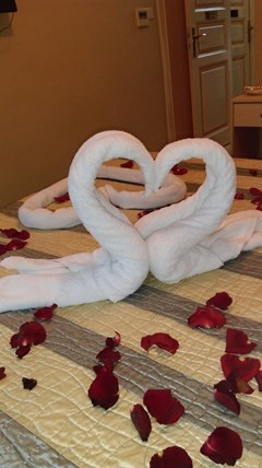 Le Safran Suite - photo 36