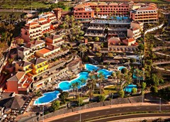 Melia Jardines del Teide - photo 49
