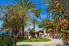 Melia Jardines del Teide - photo 50