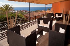 Melia Jardines del Teide - photo 91