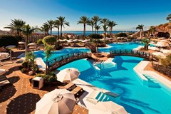 Melia Jardines del Teide - photo 83