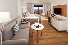 Melia Jardines del Teide - photo 19