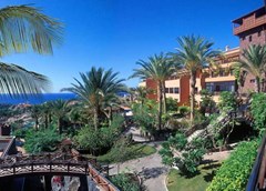 Melia Jardines del Teide - photo 60