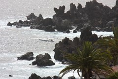 Bahia Flamingo - photo 13