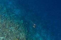 Faarufushi Maldives - photo 26