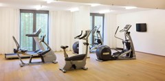 Radisson Blu Park Royal Palace Hotel, Vienna - photo 29