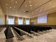 Radisson Blu Park Royal Palace Hotel, Vienna - photo 52