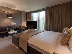 Radisson Blu Park Royal Palace Hotel, Vienna - photo 25