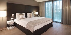 Radisson Blu Park Royal Palace Hotel, Vienna - photo 28