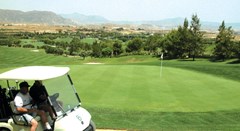 El Plantio Golf Resort - photo 33
