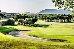 El Plantio Golf Resort - photo 42