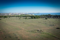 Torrejoven - photo 22