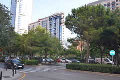Valencia Rental - photo 47