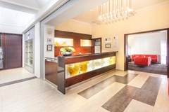 Hotel Lunik - photo 8
