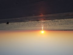 Savina - photo 10