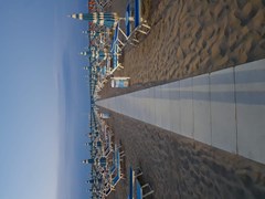 Savina - photo 5