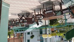 Savina - photo 6