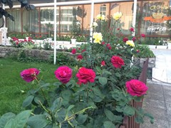 Olymp - photo 13