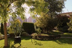 Royal Palace Helena Park - photo 26