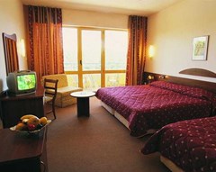 Park Hotel Continental - photo 12