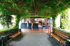 Alba - photo 19