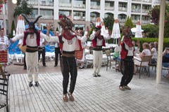 Alba - photo 8
