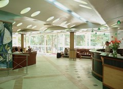 Magnolia - photo 3