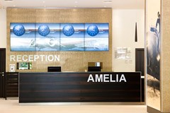 Amelia - photo 4