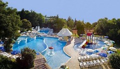 Hotel Orchidea - photo 13