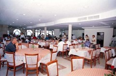 Dolphin - photo 3