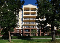 Golden Line - photo 36
