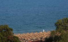 Golden Line - photo 38